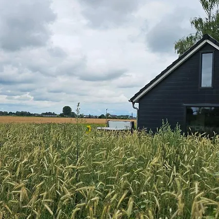 Uitrusten In De Bij Zutphen *