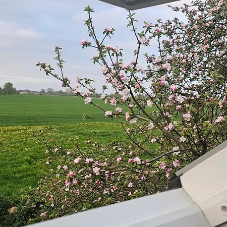 Uitrusten In De Bij Zutphen Holiday home *