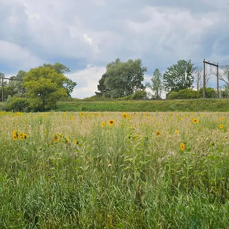 Uitrusten In De Bij Zutphen Brummen