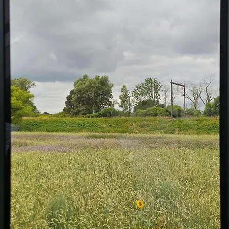 Uitrusten In De Bij Zutphen * Brummen
